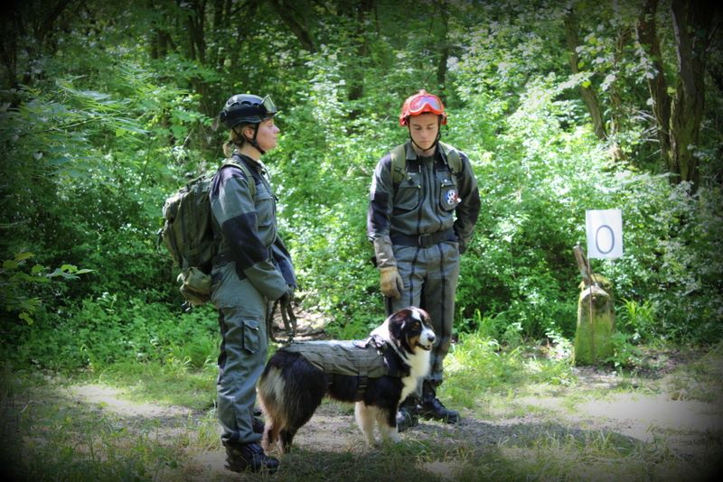 Publication : de l'Aussie Du Bois Joly Auteur : LiliPhotographie