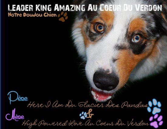 Publication : de l'Aussie Du Bois Joly Auteur : LiliPhotographie