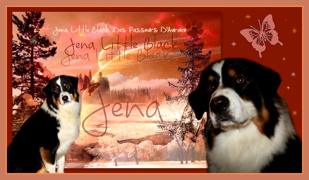 Publication : de l'Aussie Du Bois Joly Auteur : LiliPhotographie