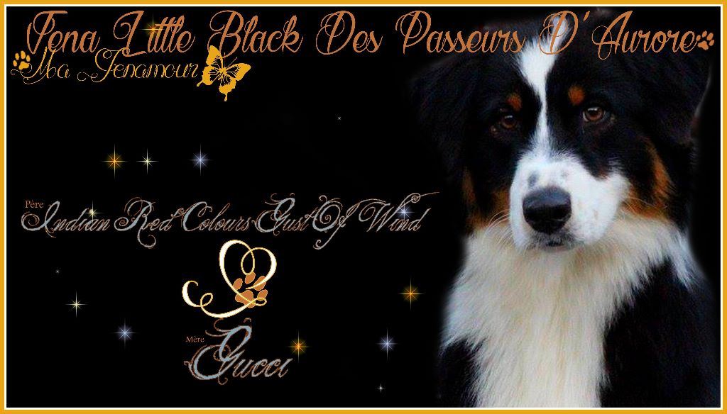 Publication : de l'Aussie Du Bois Joly Auteur : LiliPhotographie