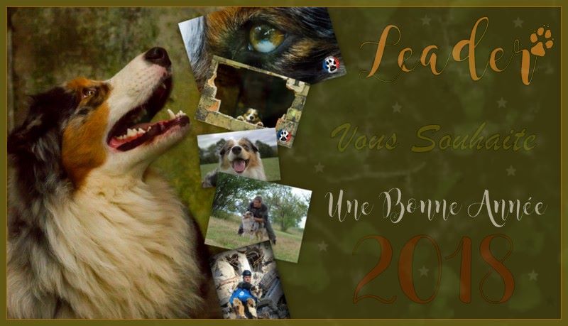 Publication : de l'Aussie Du Bois Joly Auteur : LiliPhotographie