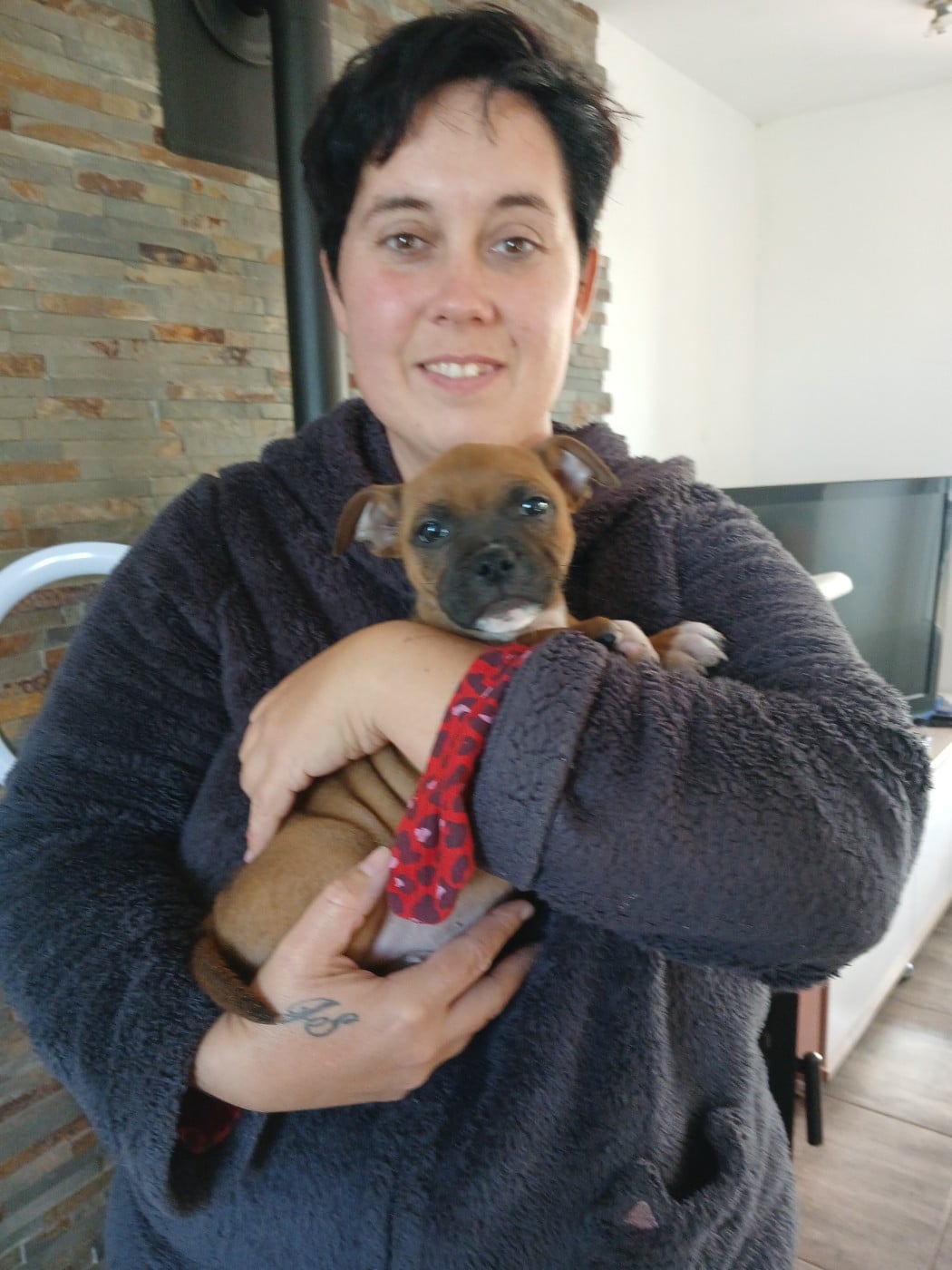 Ally mac beal aka april The Jocker's Bullyhouse