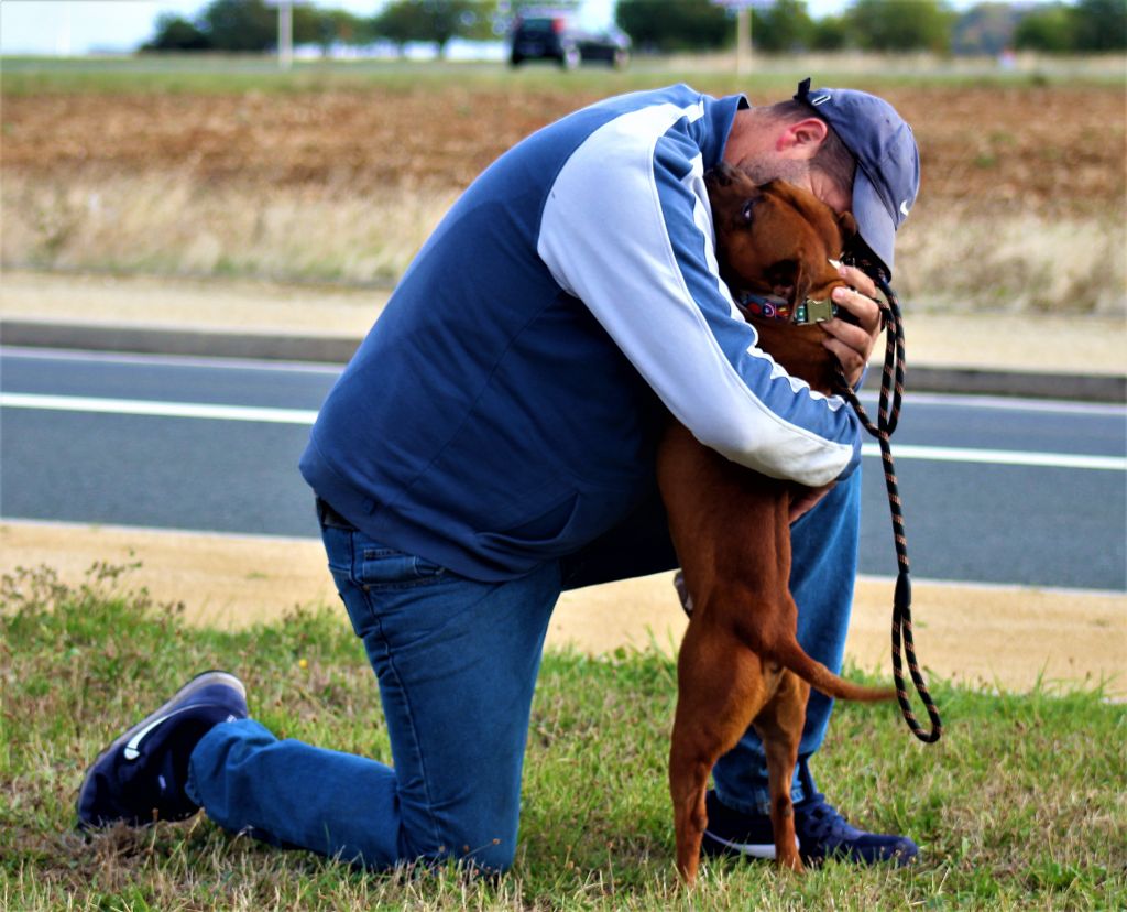 Publication : De La Terre Des Bulls Auteur : ltdb