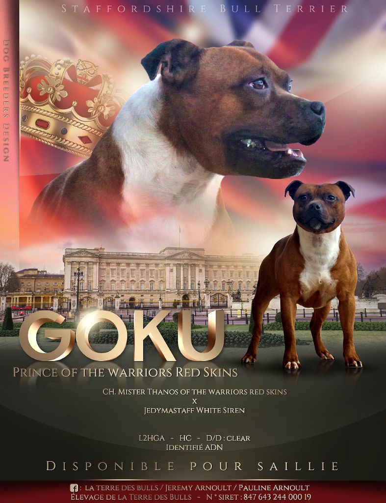 Publication : De La Terre Des Bulls Auteur : ltdb