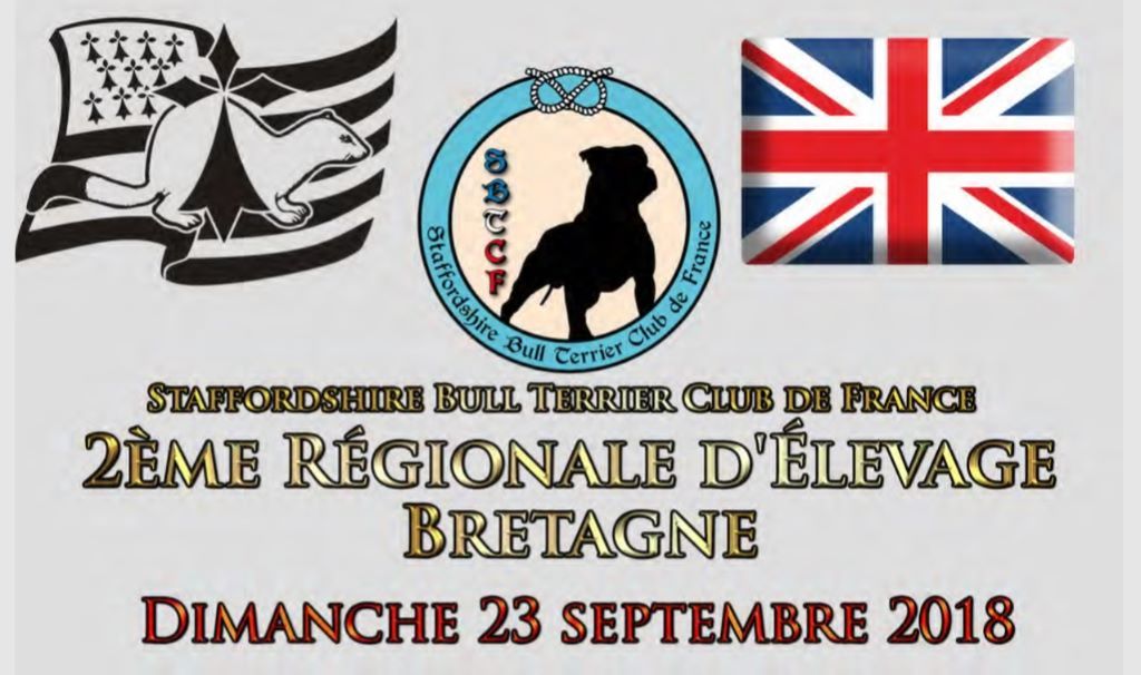 Beautiful Team M-moi - non classé TB