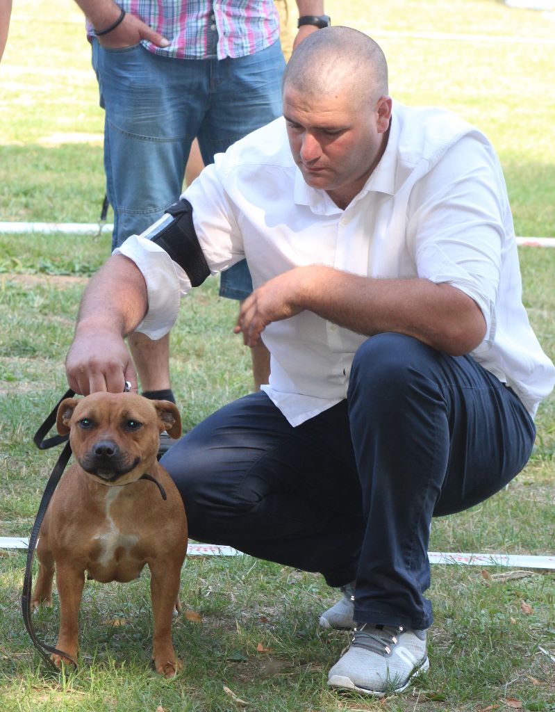 Beautiful Team M-moi - 3 exc