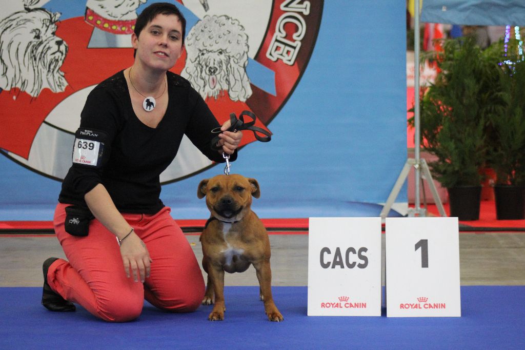 Beautiful Team M-moi - CACS BOS