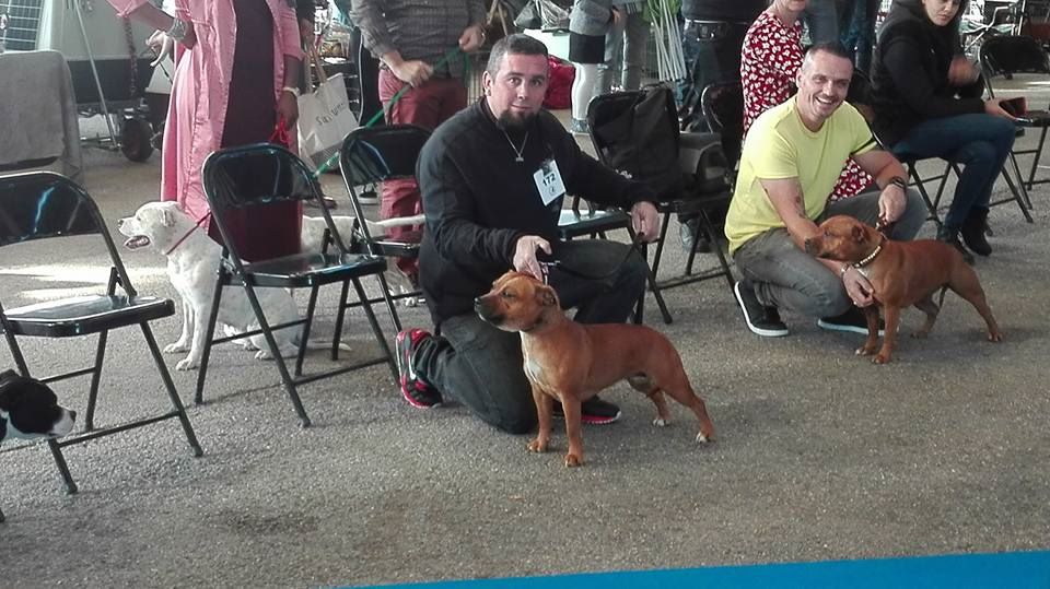 Beautiful Team M-moi - exc non classe retenue dans les 8 dernieres sur 36