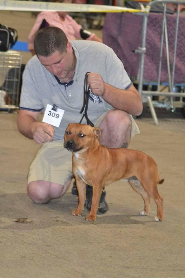 Beautiful Team M-moi - best jeune et bob