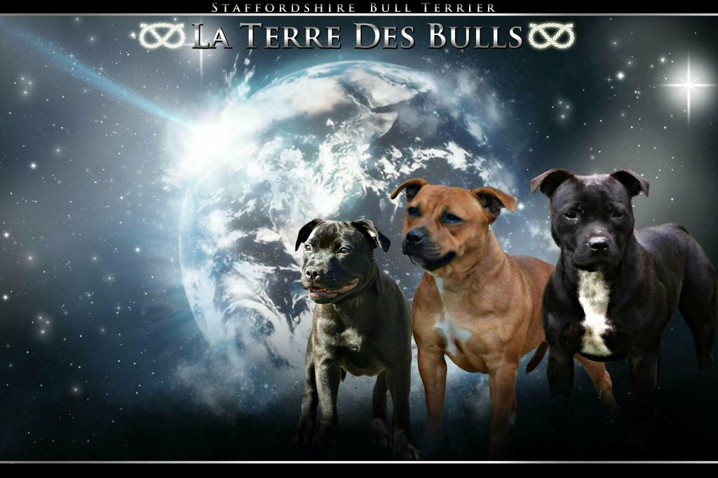 Beautiful Team M-moi - 1 exc best jeune et BOS