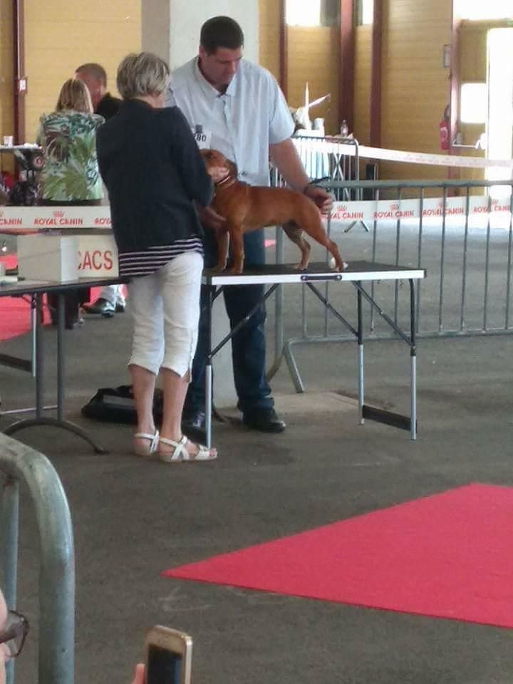 Beautiful Team M-moi - 3 eme exc