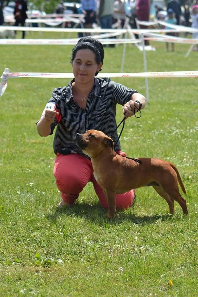 Beautiful Team M-moi - 4 exc