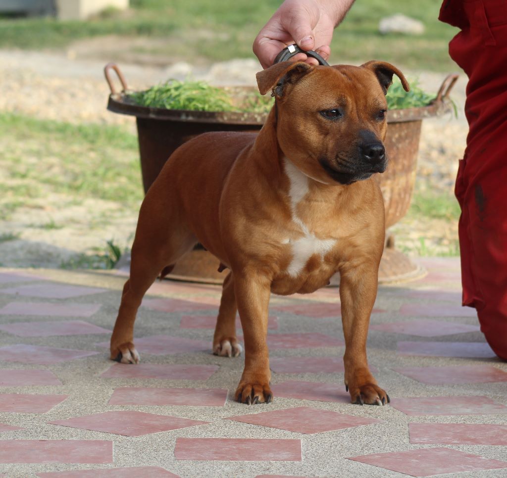 Beautiful Team M-moi - Excellent non classé