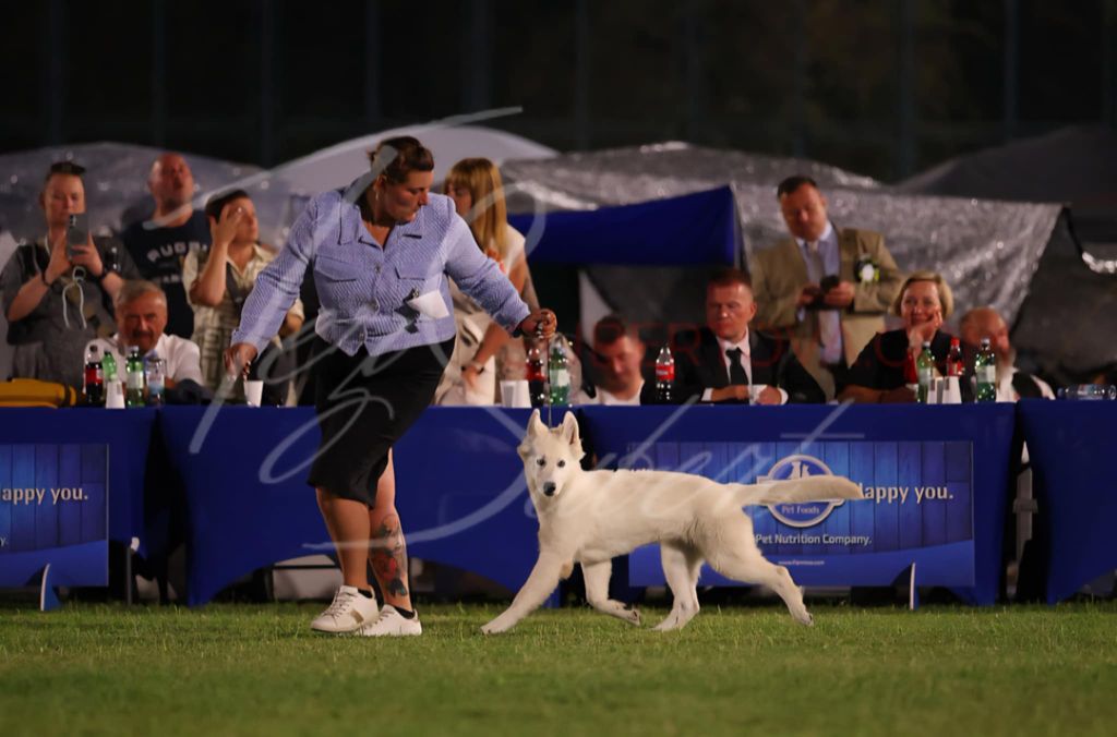Atomic lady girl De La Niche De Kristal