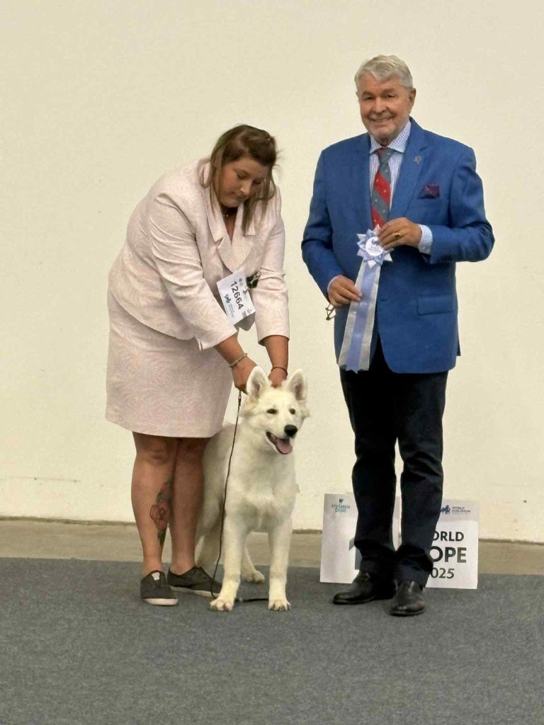 Atomic lady girl De La Niche De Kristal - 1 TRÈS PROMETTEUR + WORLD BABY 2025 + BEST BABY OF BREED 2025