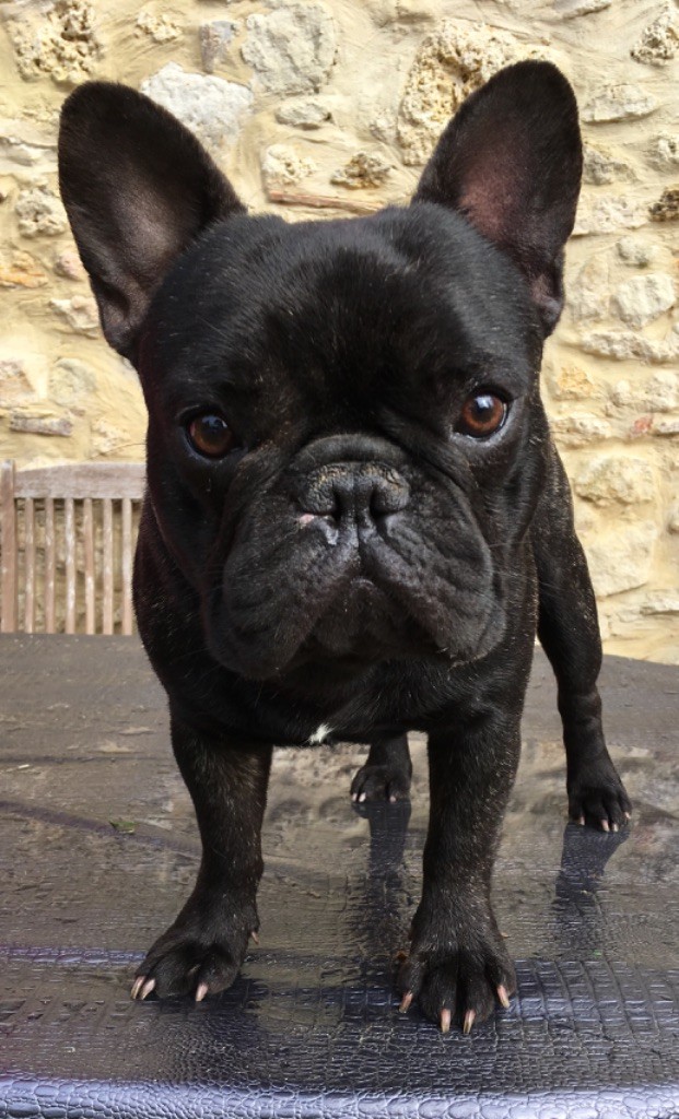 Publication : Du Moulin De La Rode Auteur : Carole Gallet