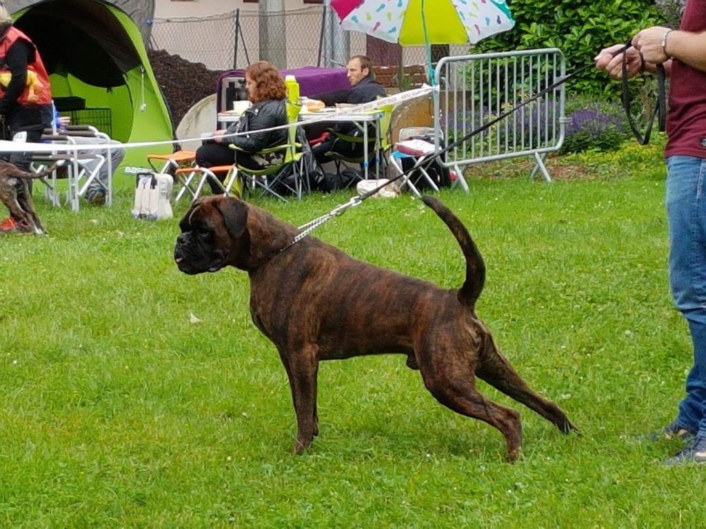 Joss Del paradiso marino - 1 exc COMB