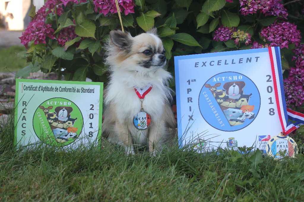 Mitch Du Manoir Du Vauclair - 1 exc ReserveCACS