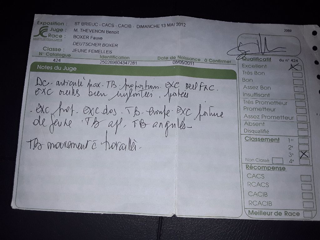 Gaïla An Dervenn Vihan - Excellent 3ème