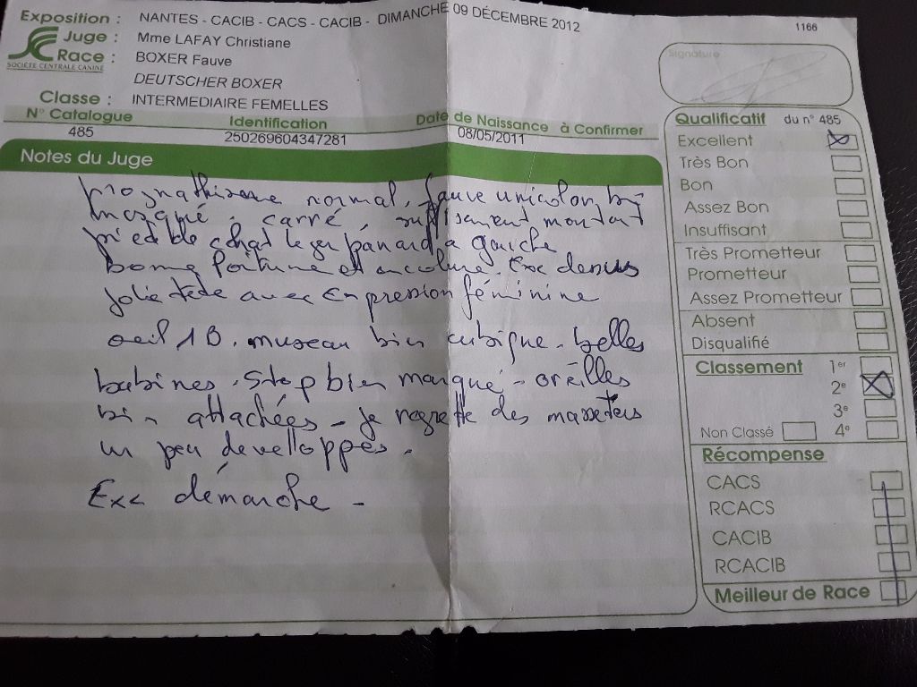 Gaïla An Dervenn Vihan - 2ème excellent