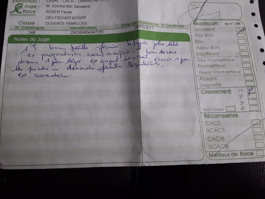 Gaïla An Dervenn Vihan - 1er excellent