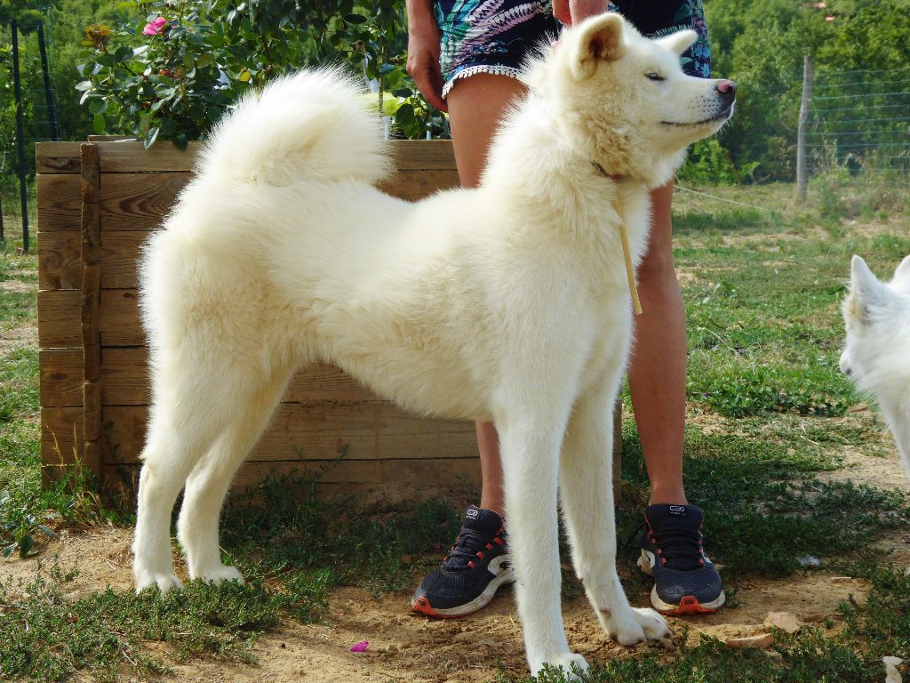 Publication : Du Mont Sacré