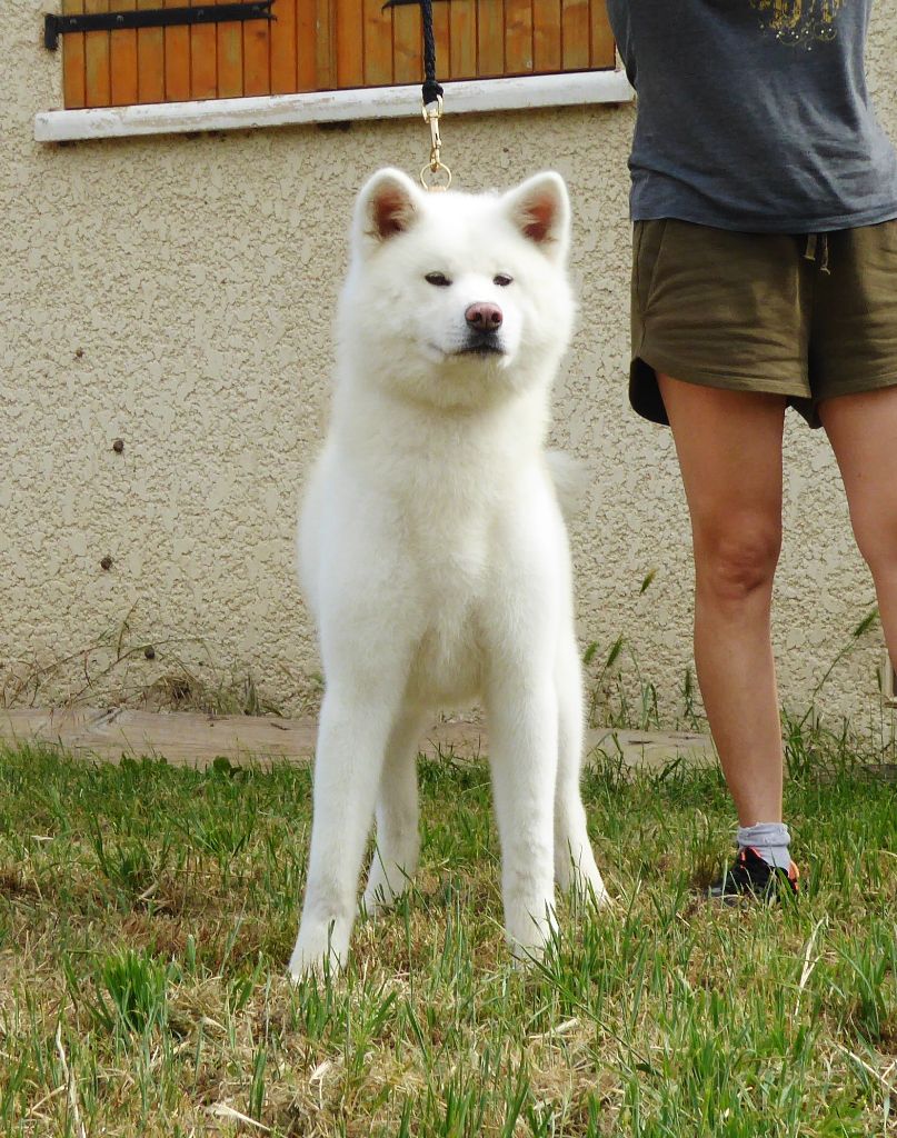 Publication : Du Mont Sacré