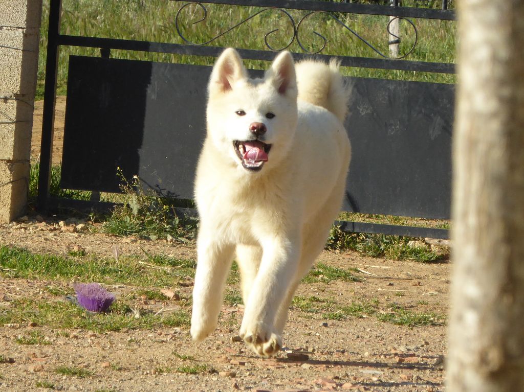 Publication : Du Mont Sacré