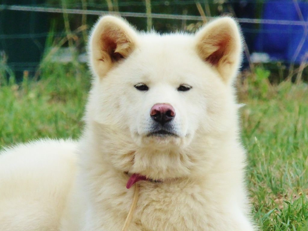 Publication : Du Mont Sacré