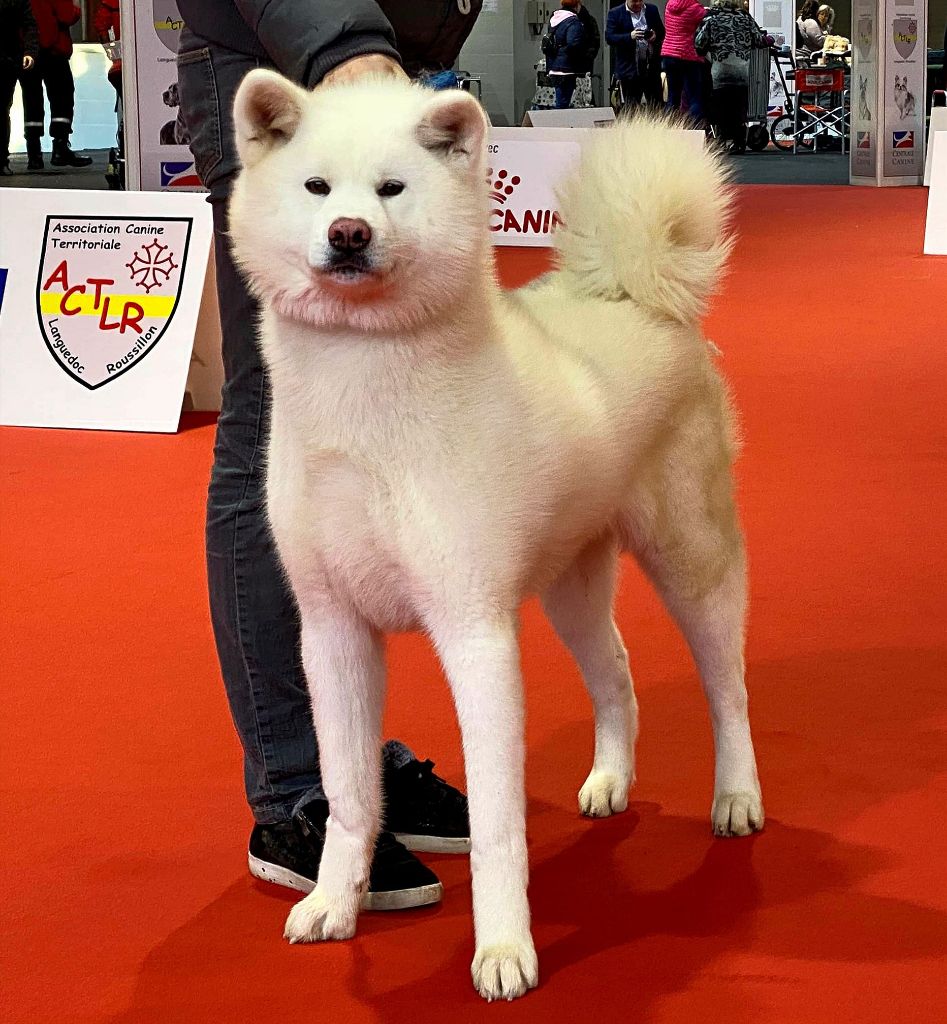 Publication : Du Mont Sacré