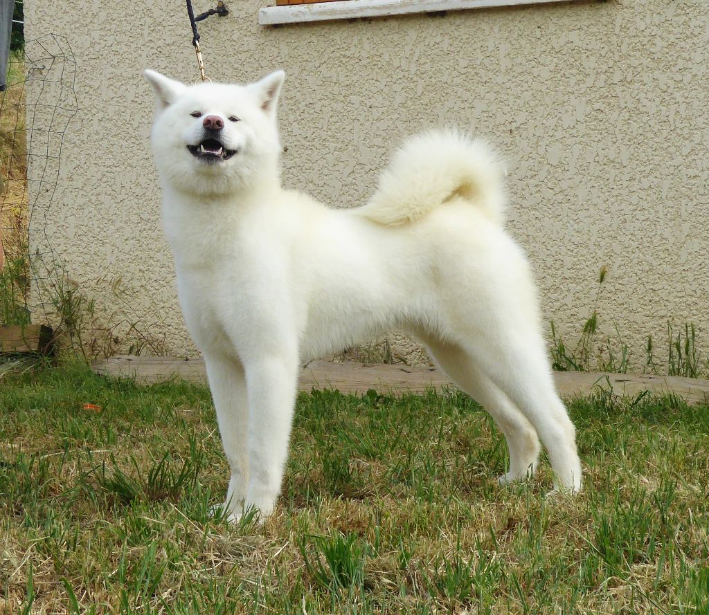 Publication : Du Mont Sacré