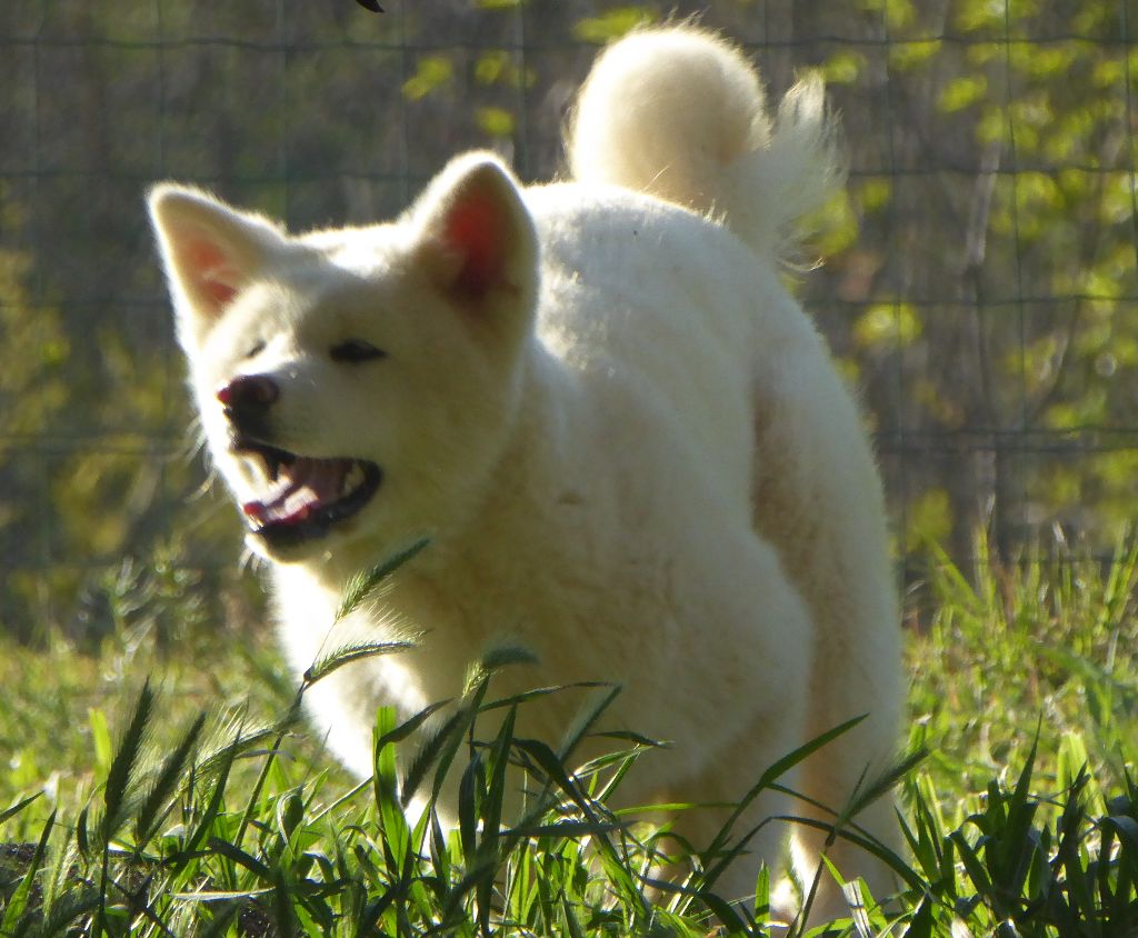 Publication : Du Mont Sacré