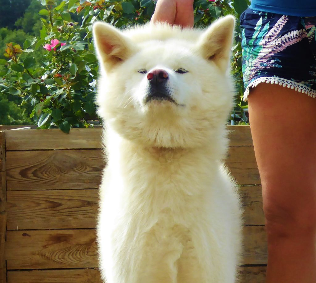 Publication : Du Mont Sacré