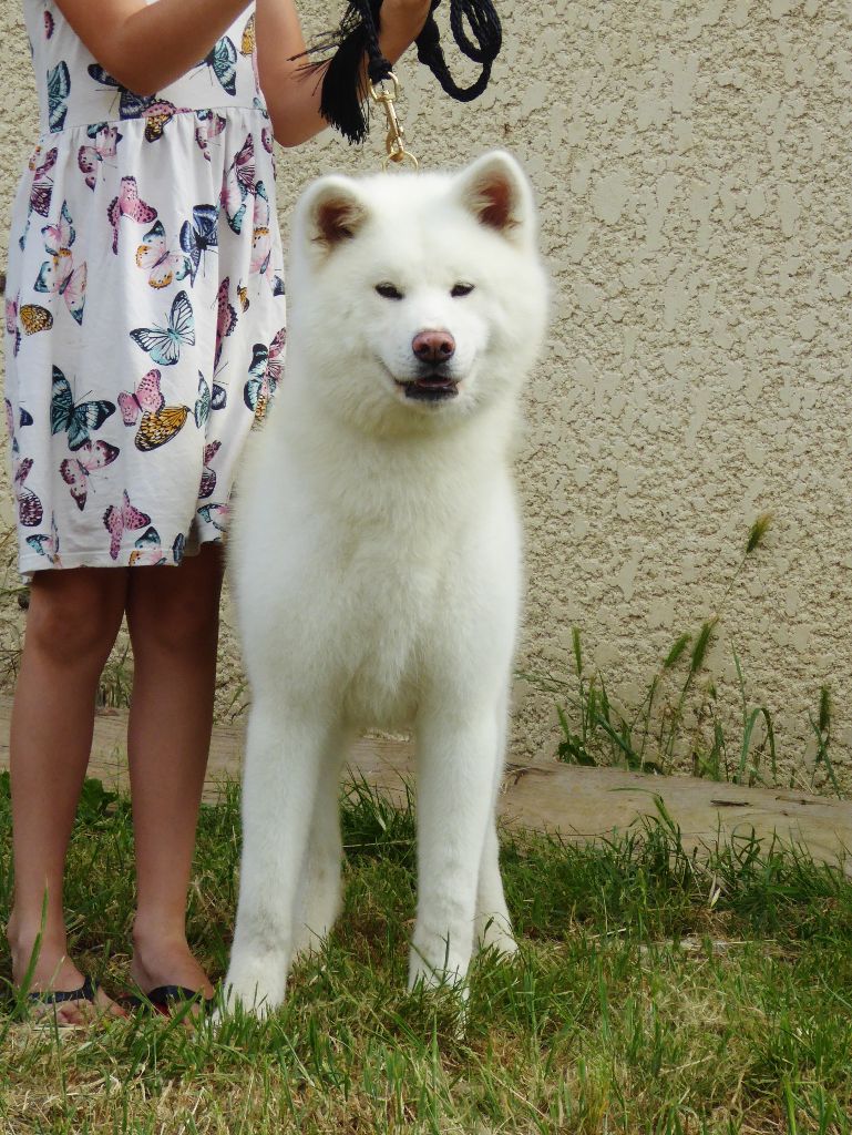 Publication : Du Mont Sacré