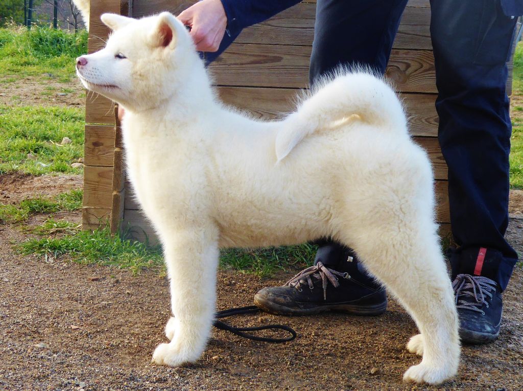 Publication : Du Mont Sacré