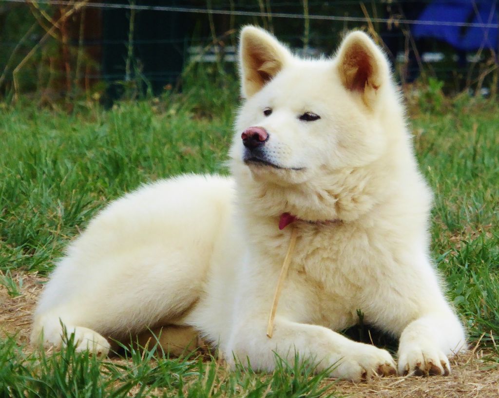 Publication : Du Mont Sacré