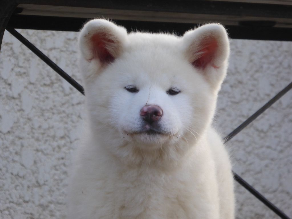 Publication : Du Mont Sacré