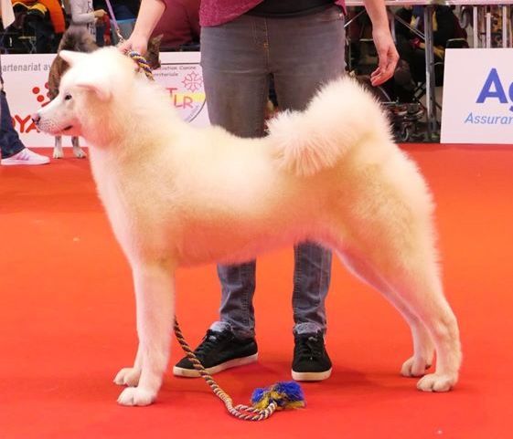 Publication : Du Mont Sacré