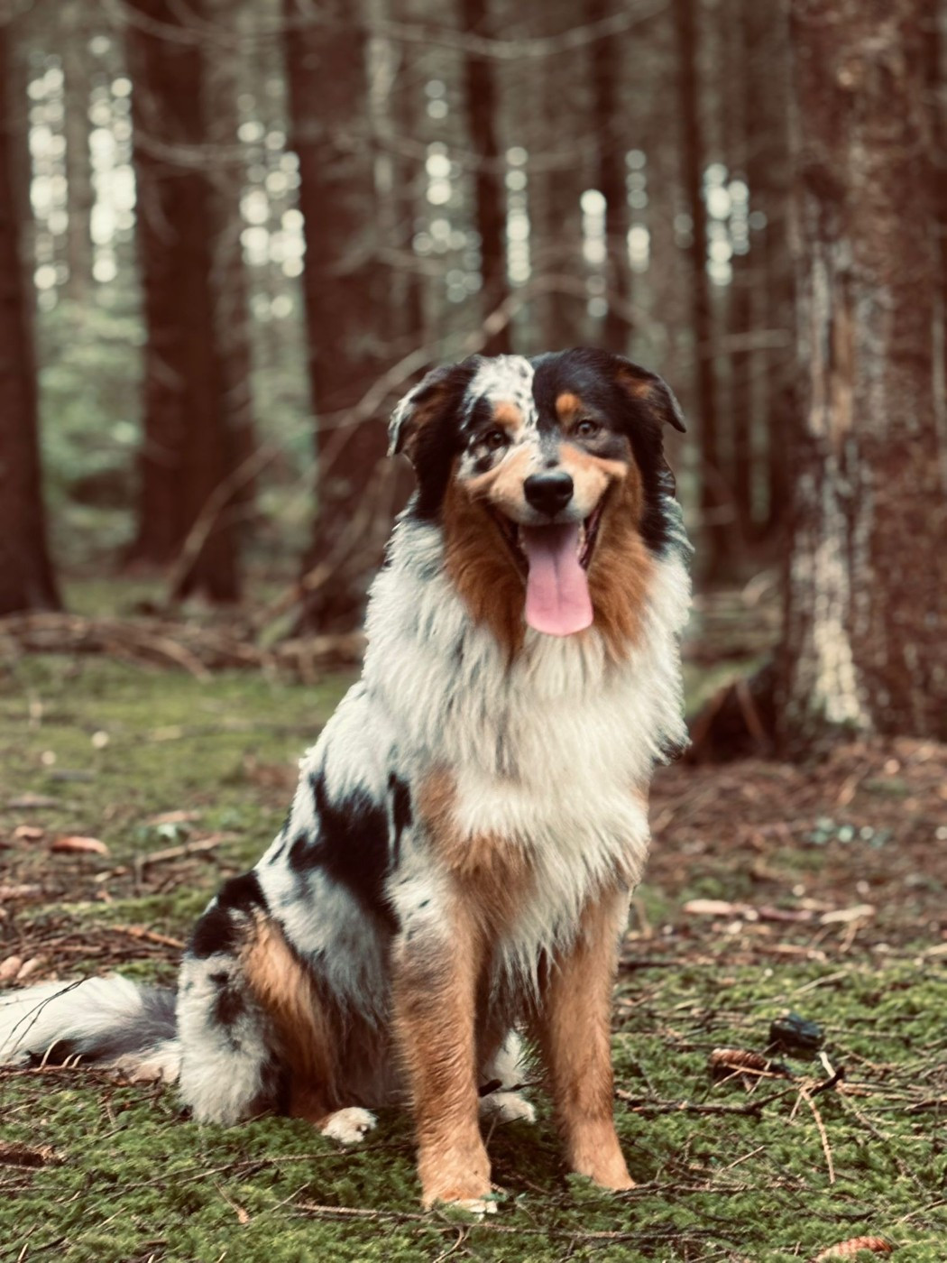 Vasco o'tantic du ménage O'tantic Du Ménage