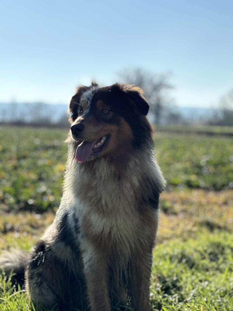 Vasco o'tantic du ménage O'tantic Du Ménage