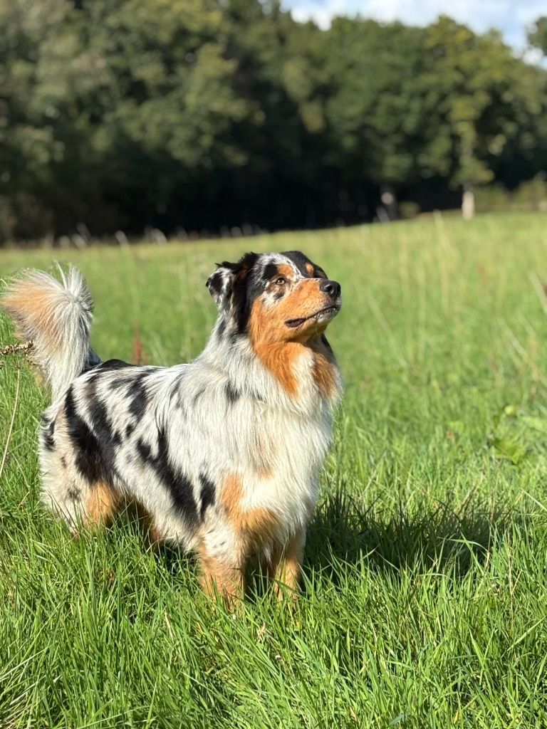 Vasco o'tantic du ménage O'tantic Du Ménage
