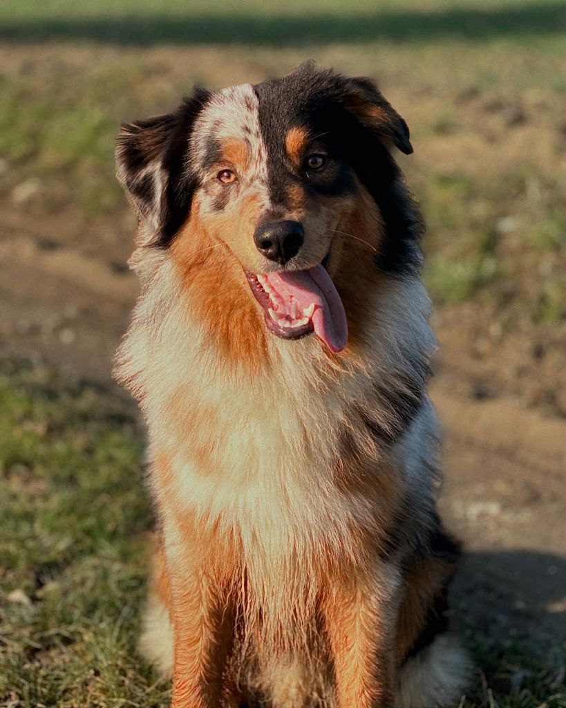 Vasco o'tantic du ménage O'tantic Du Ménage