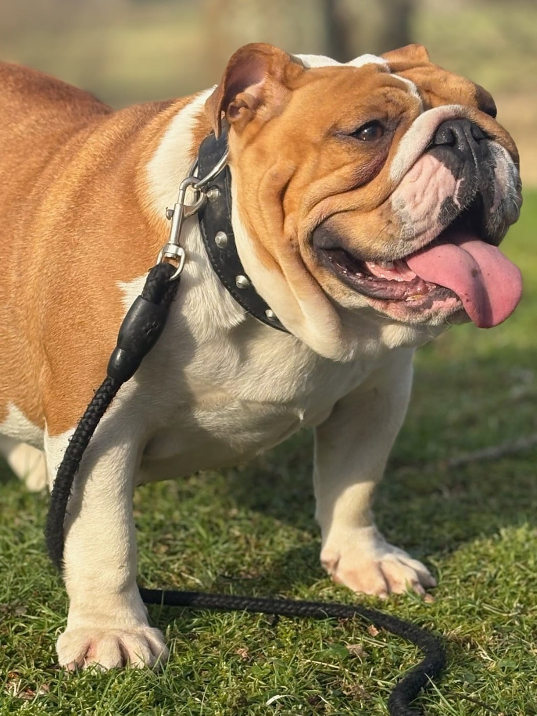 U'LOVE CHARLOTTE Des éclats De Cassiopée