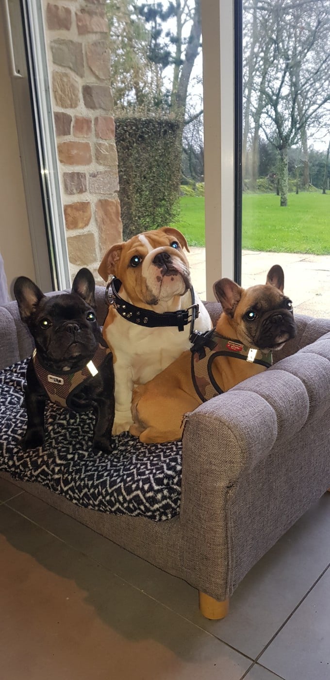 U'LOVE CHARLOTTE Des éclats De Cassiopée