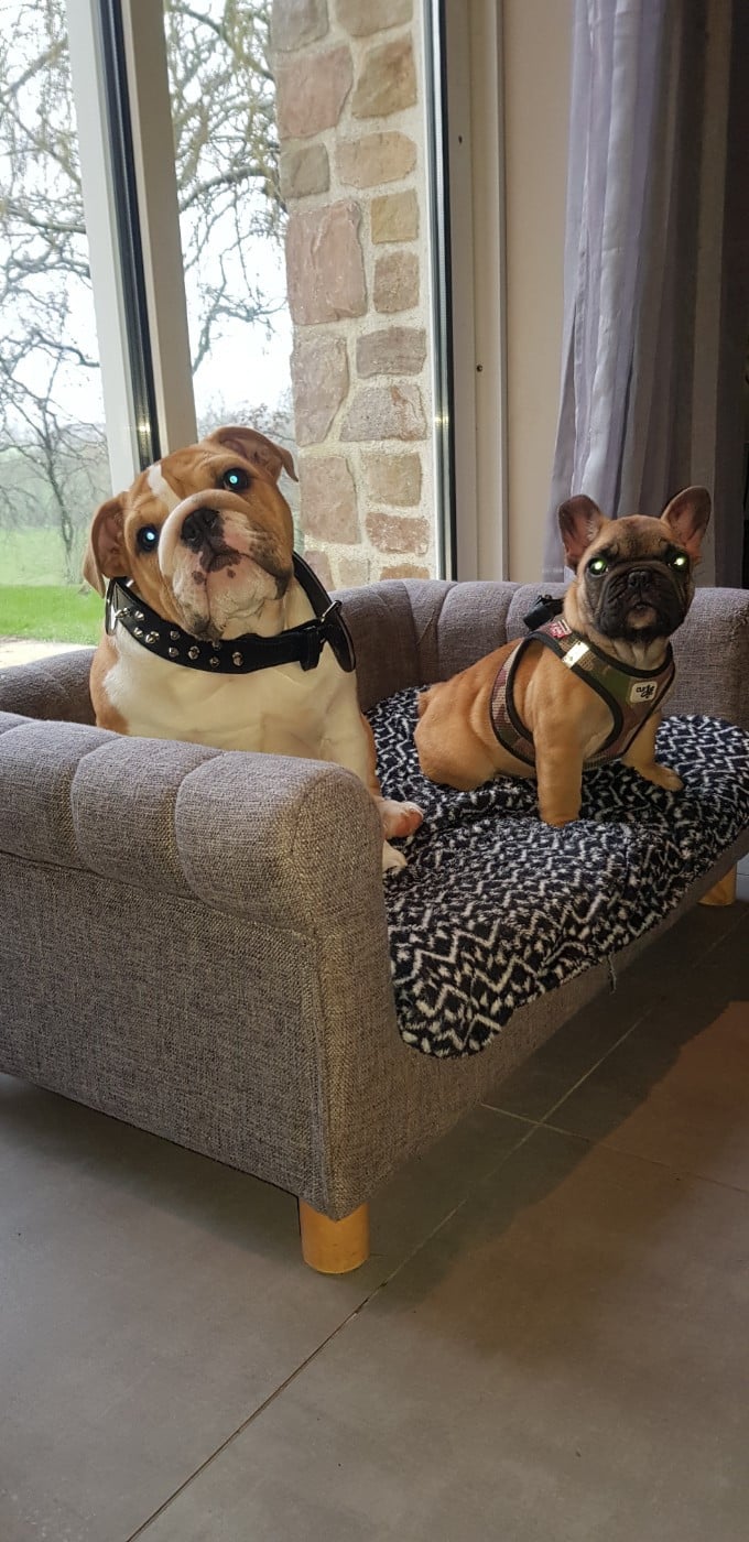 U'LOVE CHARLOTTE Des éclats De Cassiopée