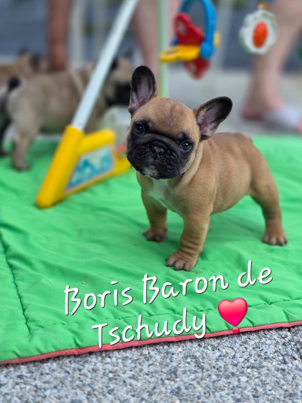 BORIS Baron de Tschudy