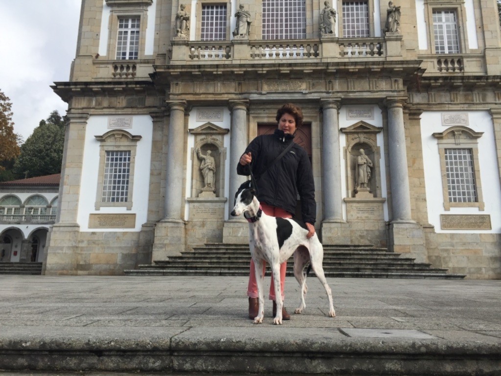 CH. Magnolia Des dames du lac - 1er EXC CAC CACIB BOB