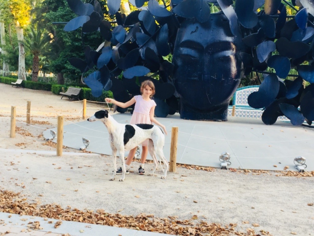 CH. Magnolia Des dames du lac - 1er EXC CACS CACIB B.O.B