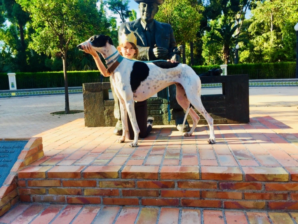 CH. Magnolia Des dames du lac - 1er EXC CAC B.O.B