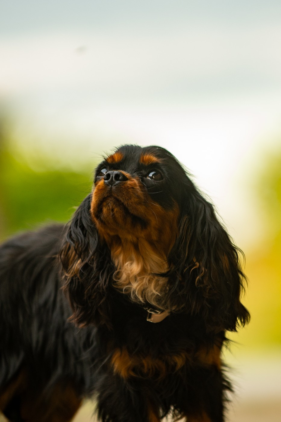 Unité d'élite des Mémoires Sempiternelles